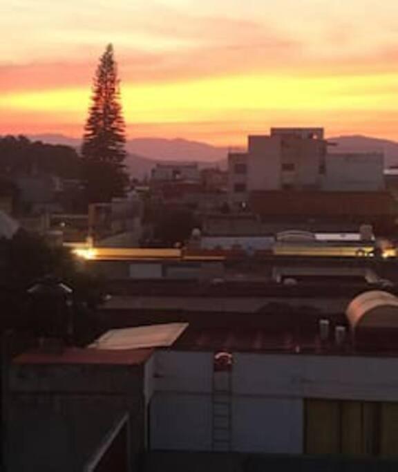 M1010 Agradable Departamento Centrico En Oaxaca 아파트 외부 사진