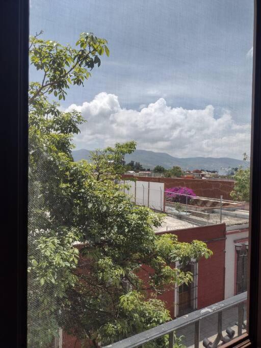 M1010 Agradable Departamento Centrico En Oaxaca 아파트 외부 사진